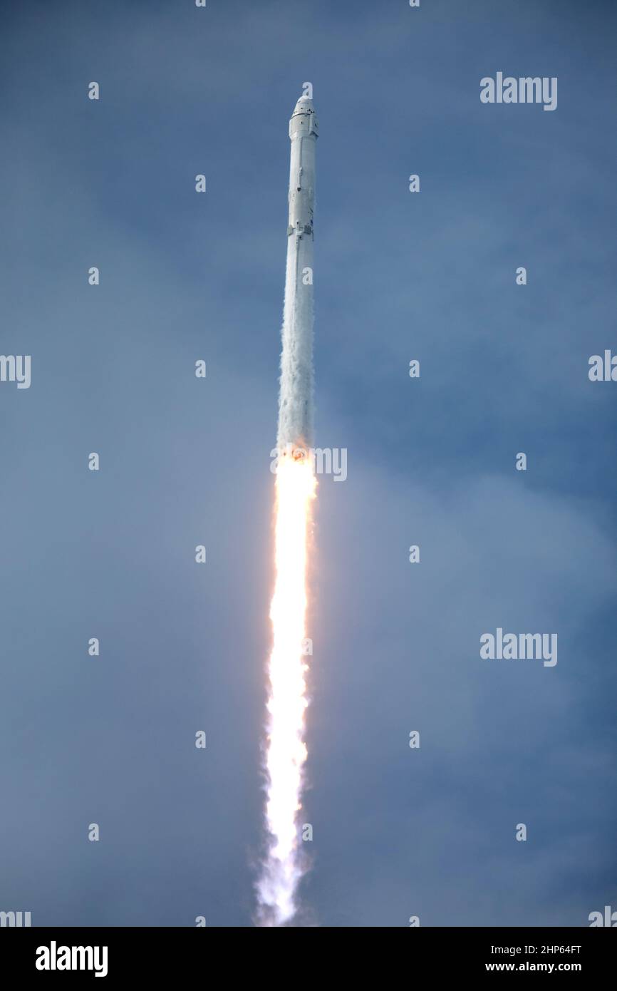 Un razzo SpaceX Falcon 9 si solleva dal Launch Complex 39A presso il Kenney Space Center della NASA in Florida, la missione di servizi di rifornimento commerciale della società per il 11th alla International Space Station. Liftoff è stato alle 5:07 EDT dal sito storico di lancio ora gestito da SpaceX in base a un accordo di proprietà con la NASA. La navicella spaziale Dragon fornirà 6.000 chili di forniture, come la stella Neutron Interior Composition Explorer, o PIÙ BELLO, progettato per studiare la fisica straordinaria di queste stelle, fornendo informazioni sulla loro natura e comportamento. Foto Stock