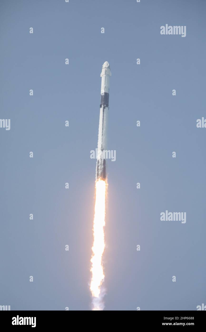 Una navicella spaziale SpaceX Falcon 9 e Crew Dragon si alza dal Launch Complex 39A al Kennedy Space Center della NASA in Florida il 30 maggio 2020, Foto Stock