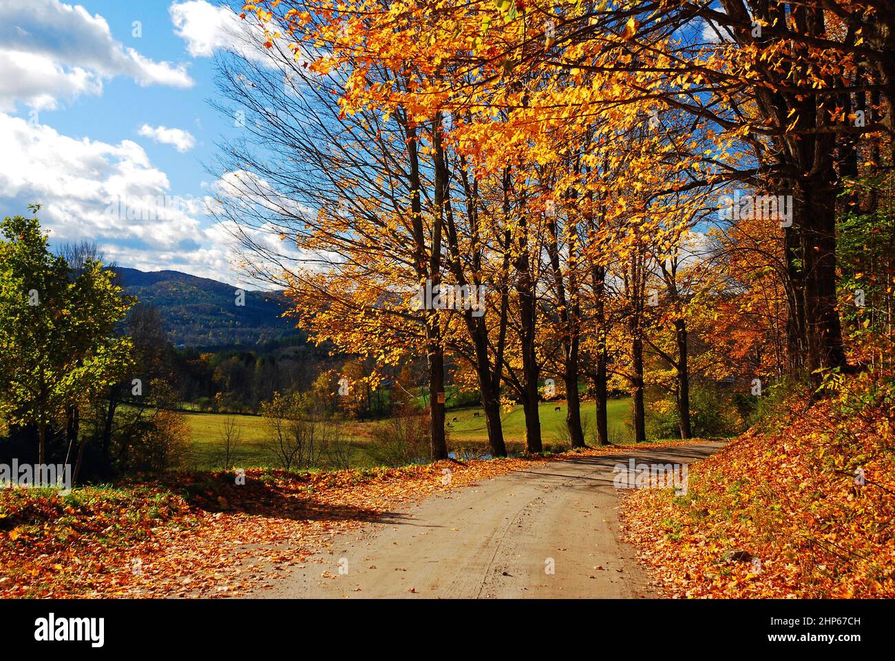 Una corsia di campagna si snoda attraverso il fogliame autunnale Foto Stock