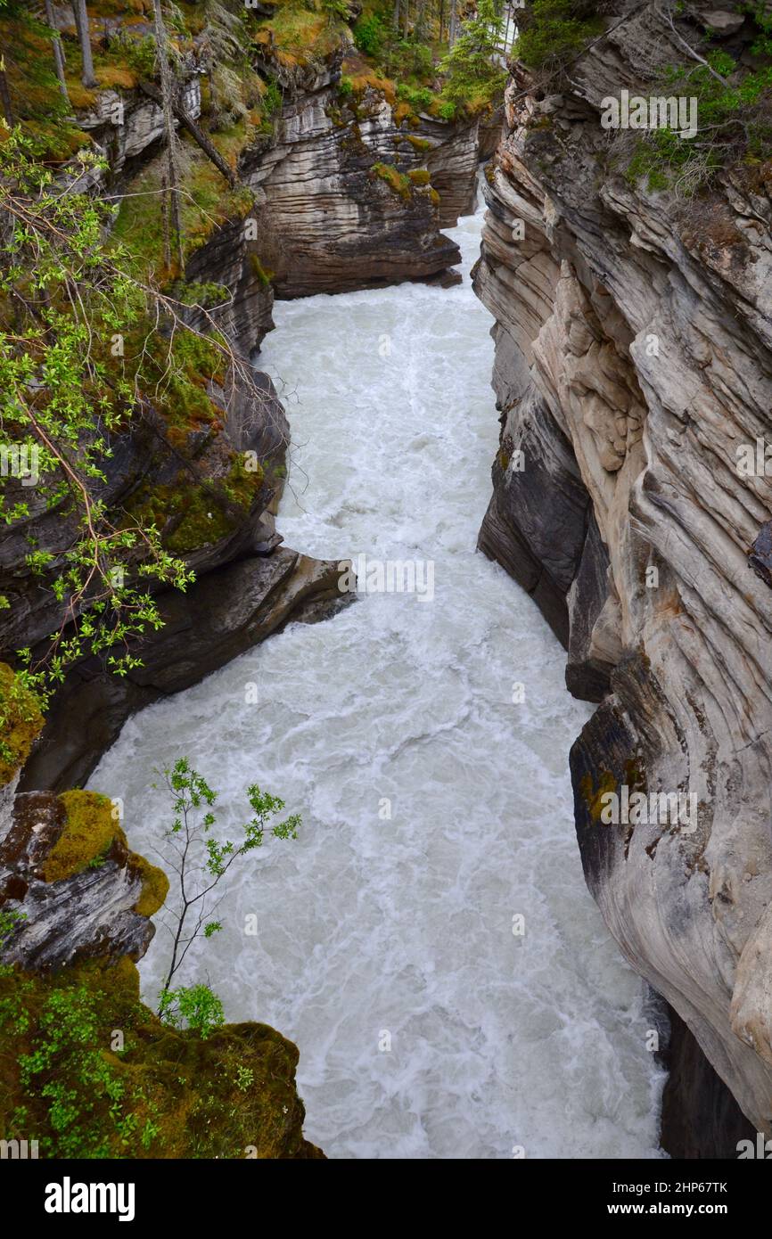 Canyon Walls e acqua fluente veloce alle Cascate Athabasca nel Jasper National Park durante l'estate Foto Stock