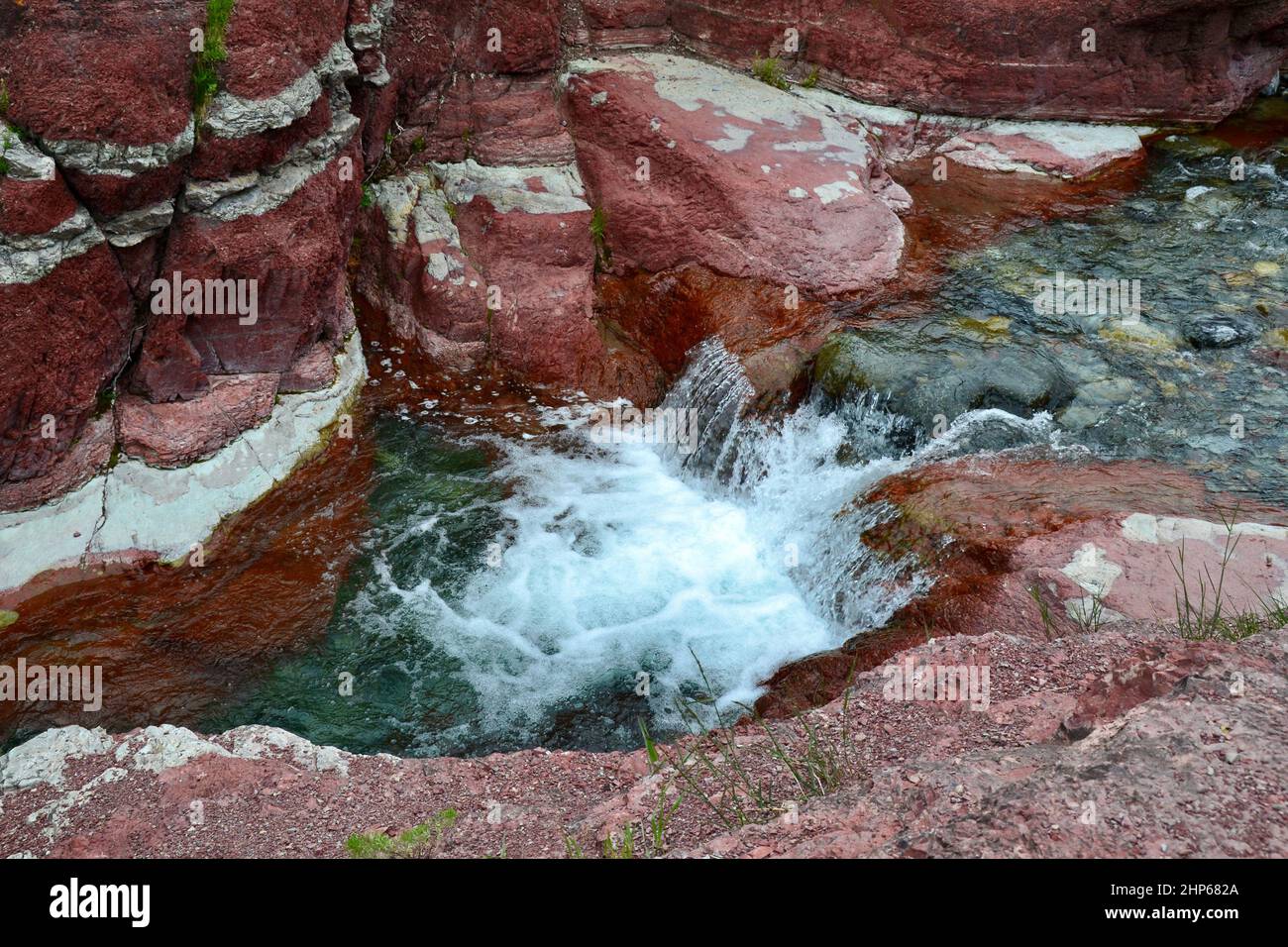 Primo piano di una piccola cascata che scorre attraverso il Red Rock Canyon al Parco Nazionale dei Laghi di Waterton durante l'estate Foto Stock