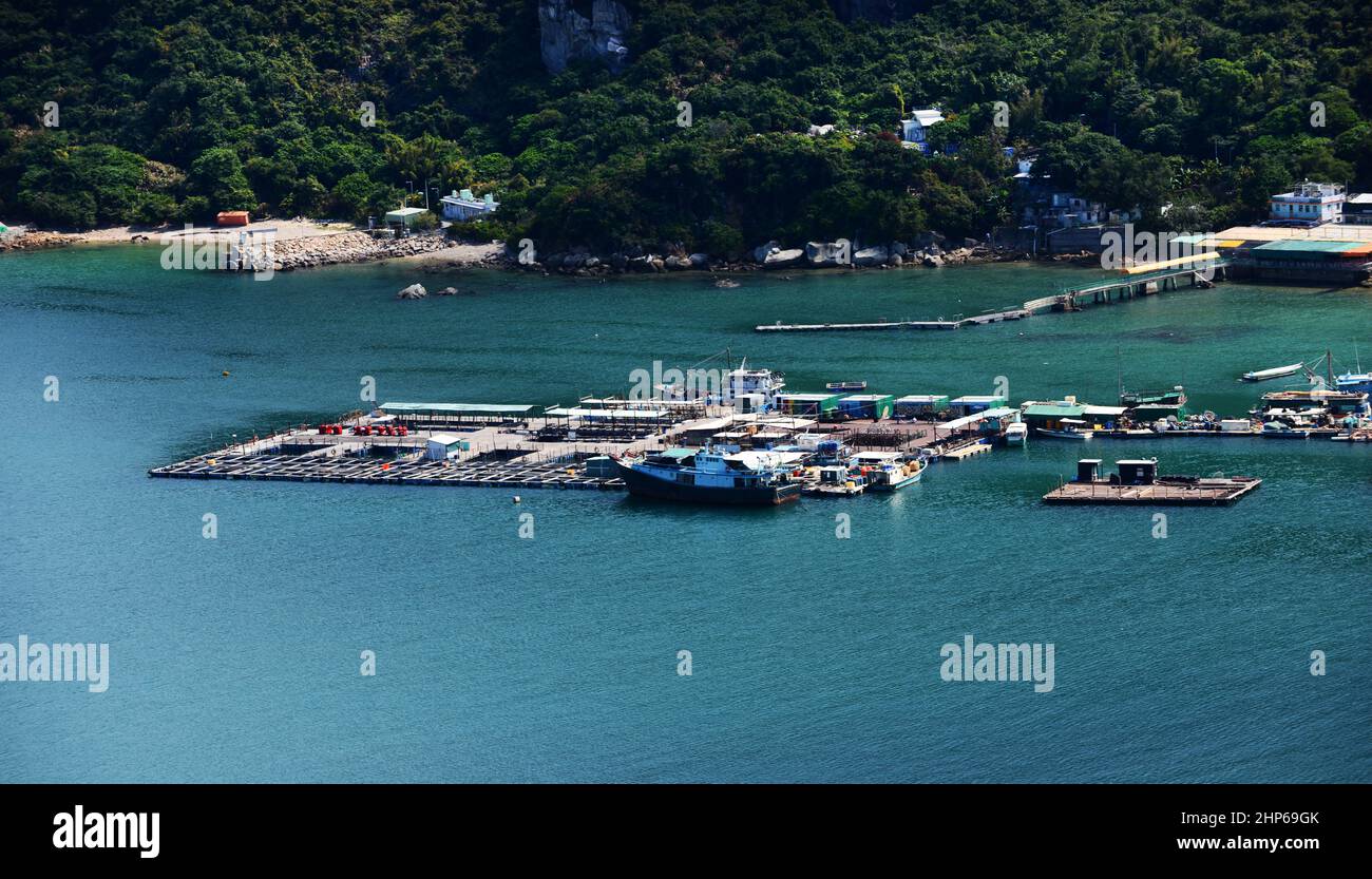 Aziende di acquacoltura a Pichic Bay, Sok Kwu WAN, Lamma Island, Hong Kong. Foto Stock