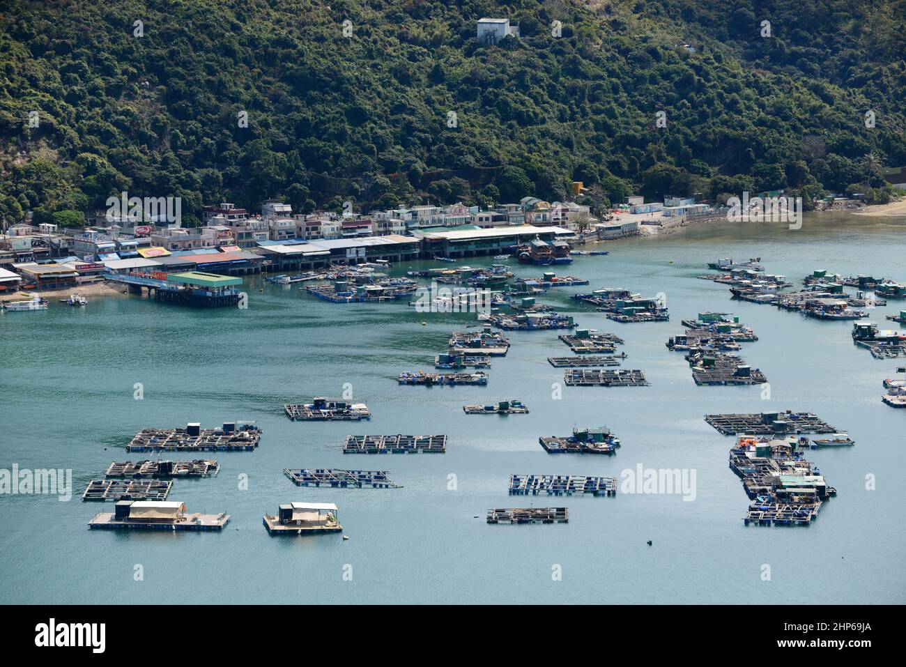Aziende di acquacoltura a Pichic Bay, Sok Kwu WAN, Lamma Island, Hong Kong. Foto Stock
