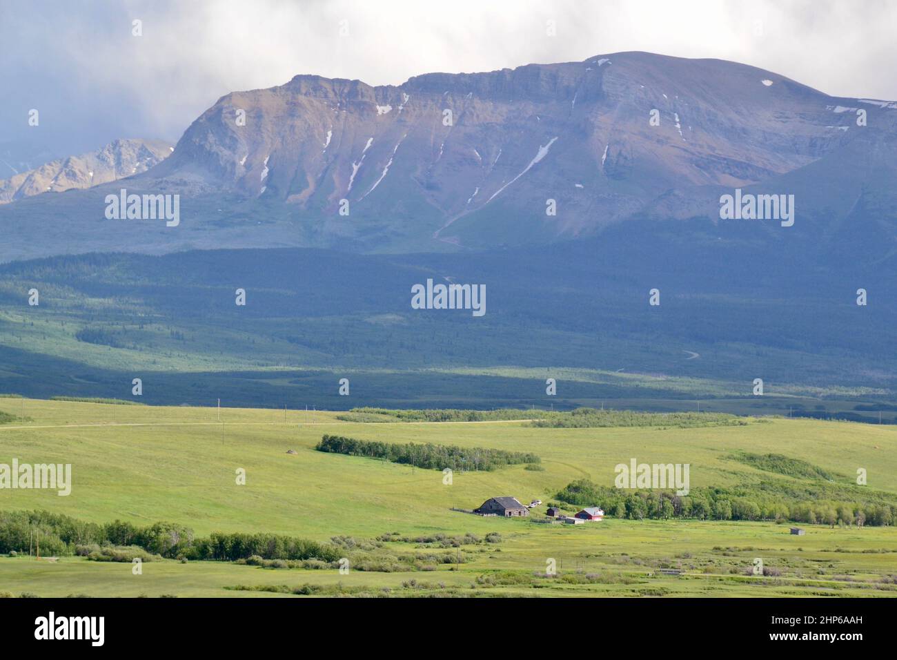 Campo verde e casa con Rocky Mountain sfondo all'orizzonte Foto Stock