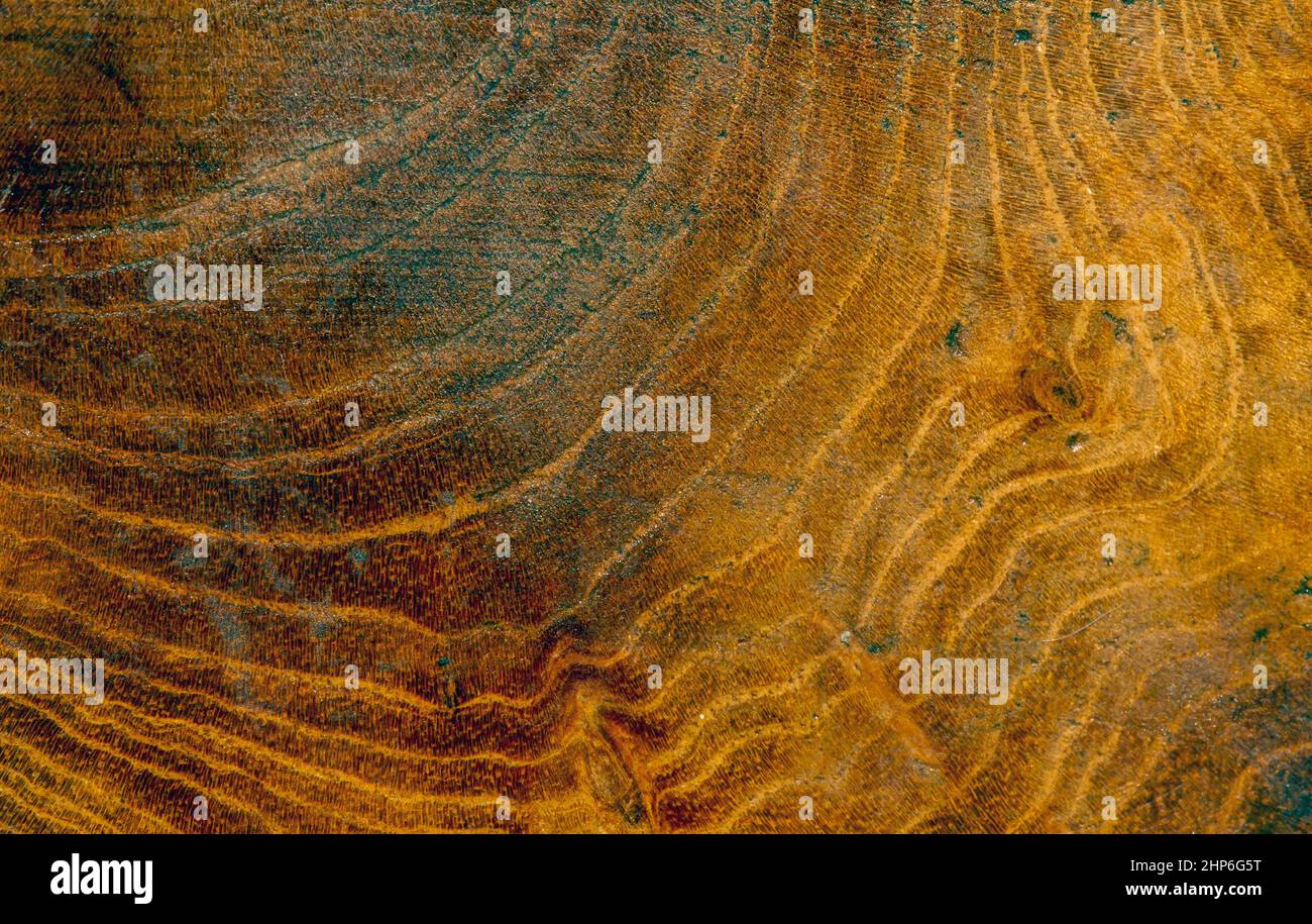 Natura modello di legno di teak texture per sfondo Foto Stock