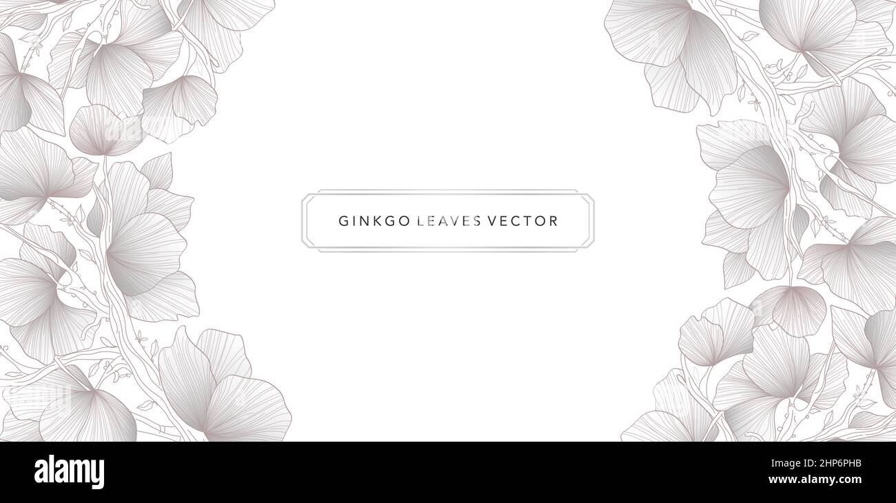 illustrazione di fogli di ginkgo sfondi vettoriali, disegni monocromatici a colori con sfondi bianchi isolati applicabili per banner, matrimoni di invito, carta da parati e biglietti d'auguri. Illustrazione Vettoriale