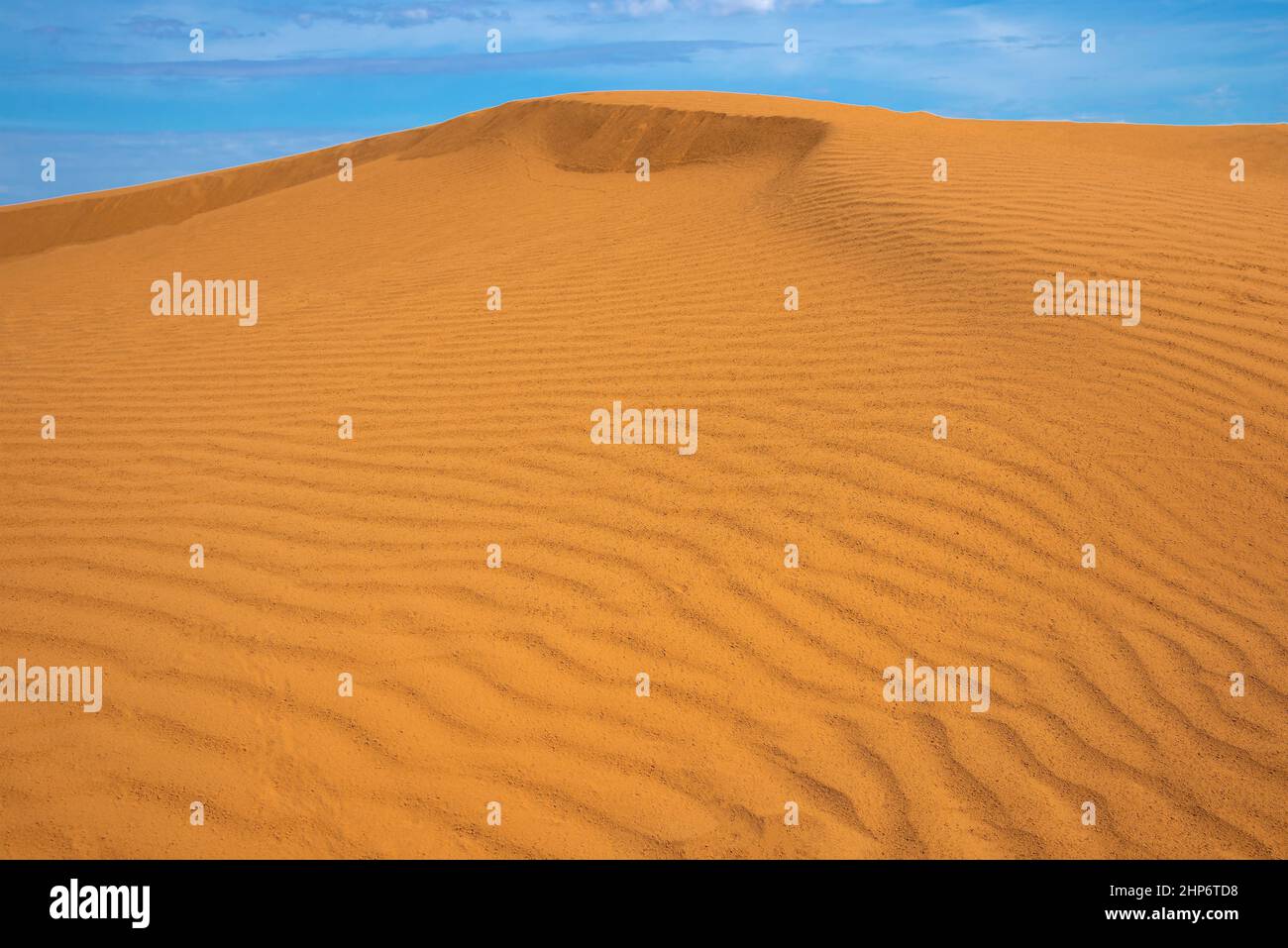 Vista del deserto delle Terre nere senza fine in una giornata di sole. Repubblica di Kalmykia, Russia Foto Stock