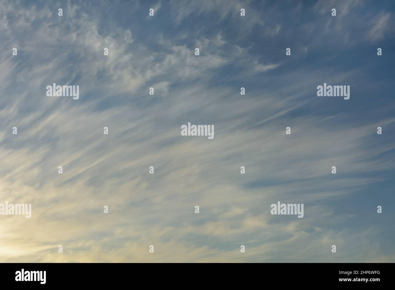 Piume morbide nel cielo del mattino. Foto Stock