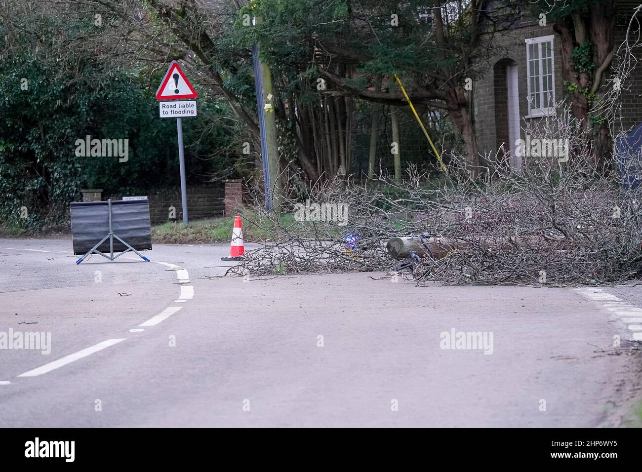 Station Lane, Godalming. 19th febbraio 2022. La cancellazione dopo Storm Eunace continuò attraverso le contee di casa questa mattina. I cavi di alimentazione sono stati portati giù da un albero cadente in Godalming in Surrey, causando i powercut. In tutto il Regno Unito migliaia di case continuano ad essere senza potere dopo la più grande tempesta da colpire per oltre 30 anni. Credit: james jagger/Alamy Live News Foto Stock