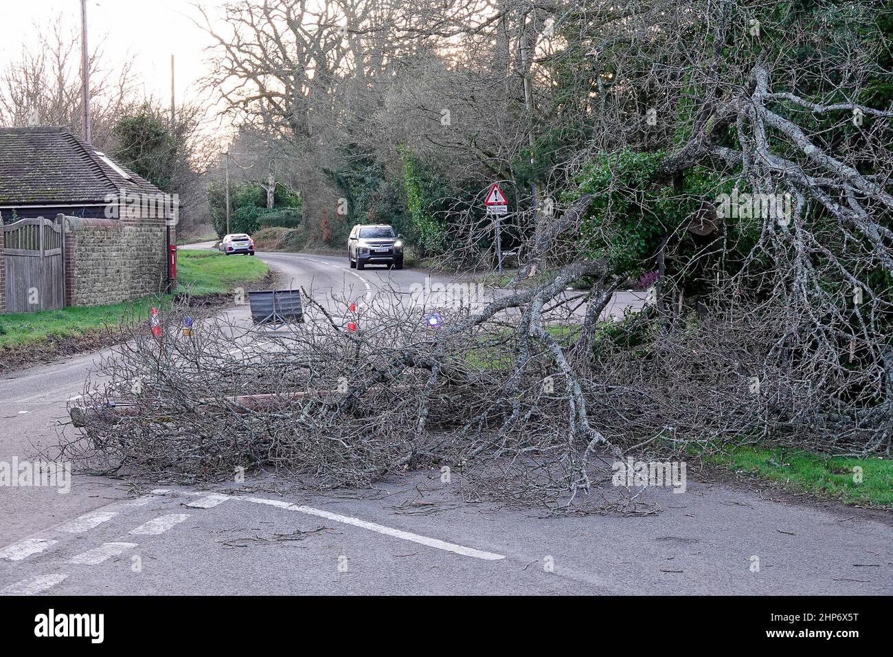 Station Lane, Godalming. 19th febbraio 2022. La cancellazione dopo Storm Eunace continuò attraverso le contee di casa questa mattina. I cavi di alimentazione sono stati portati giù da un albero cadente in Godalming in Surrey, causando i powercut. In tutto il Regno Unito migliaia di case continuano ad essere senza potere dopo la più grande tempesta da colpire per oltre 30 anni. Credit: james jagger/Alamy Live News Foto Stock