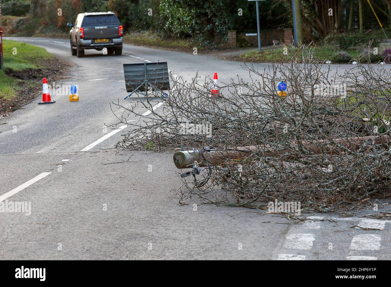 Station Lane, Godalming. 19th febbraio 2022. La cancellazione dopo Storm Eunace continuò attraverso le contee di casa questa mattina. I cavi di alimentazione sono stati portati giù da un albero cadente in Godalming in Surrey, causando i powercut. In tutto il Regno Unito migliaia di case continuano ad essere senza potere dopo la più grande tempesta da colpire per oltre 30 anni. Credit: james jagger/Alamy Live News Foto Stock