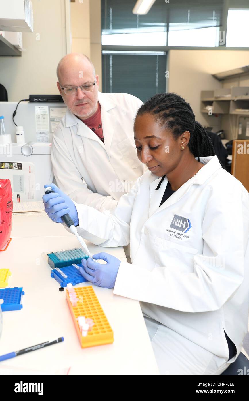 Il Dr. Michael otto del NIH's National Institute of Allergy and Infectious Diseases ospita il Dr. Nana Amissah del Ghana, che studia Staphylococcus aureus. CA. 2019 Foto Stock