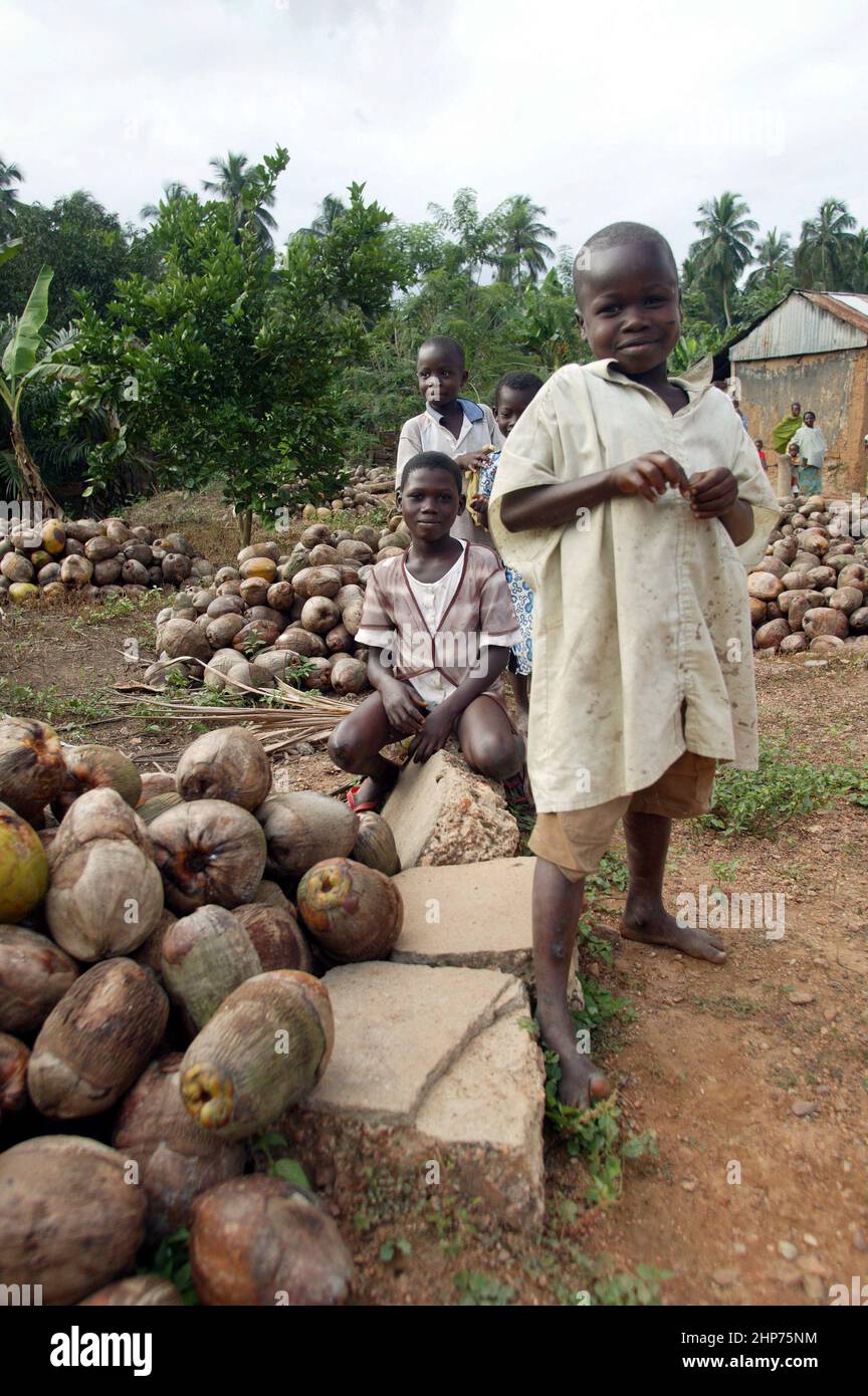 Bambino con cocco Ghana Africa occidentale Foto Stock