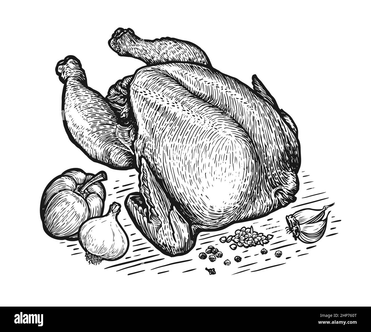 Pollo o tacchino ripieni e ingredienti. Carcassa di pollame, vettore di carne di broiler. Disegno illustrativo vintage per macelleria, prodotti agricoli Illustrazione Vettoriale