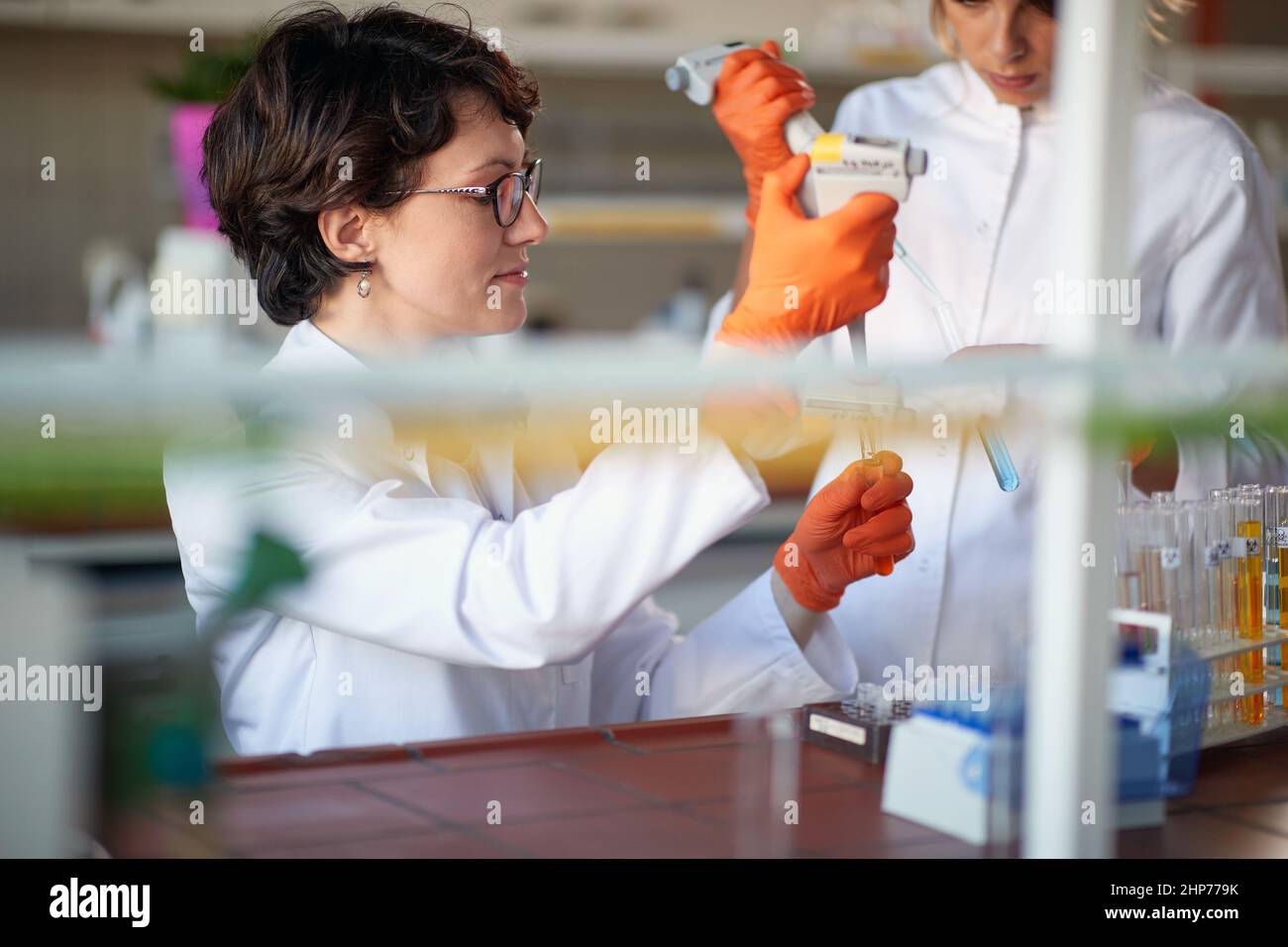 Una giovane studentesse che pipettano in un ambiente di laboratorio sterile. Scienza, chimica, laboratorio, persone Foto Stock