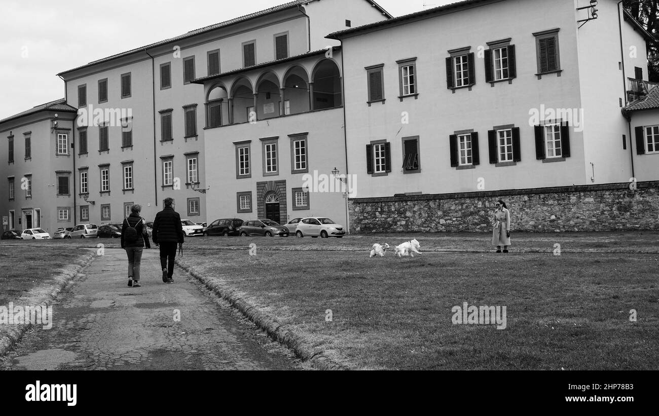 Lucca, Toscana, Italia Foto Stock