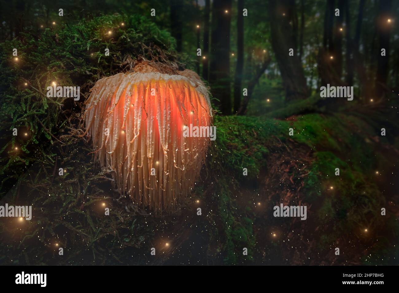 Strani funghi incandescenti con lucciole sul muschio nella foresta scura. Funghi magici nella foresta scura. Foto Stock