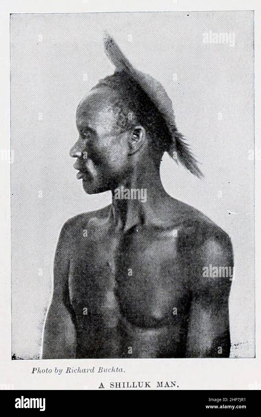 Un uomo Shilluk lo Shilluk (Shilluk: CHOLLO) è un gruppo etnico Luo Nilotic maggiore del Sudan meridionale, che vive su entrambe le rive del fiume Nilo, nelle vicinanze della città di Malakal. Dal libro The Living Races of Mumann; Volume 2 di Henry Neville Hutchinson, pubblicato a Londra nel 1901 da Hutchinson & co Foto Stock