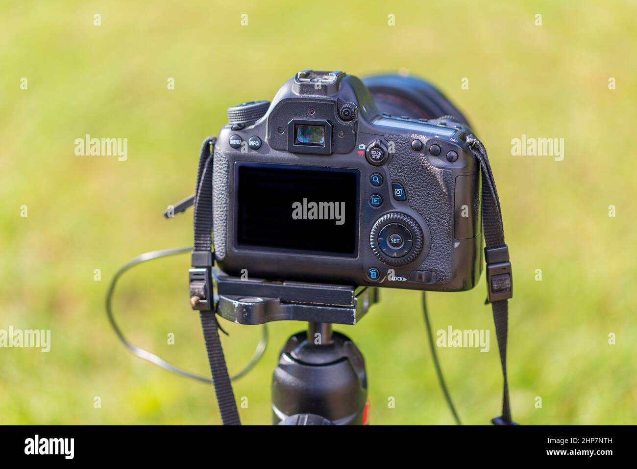 Vista posteriore di una fotocamera digitale. Il display e i comandi posteriori sono visibili. La fotocamera è montata su un cavalletto. Lo sfondo è verde. Foto Stock