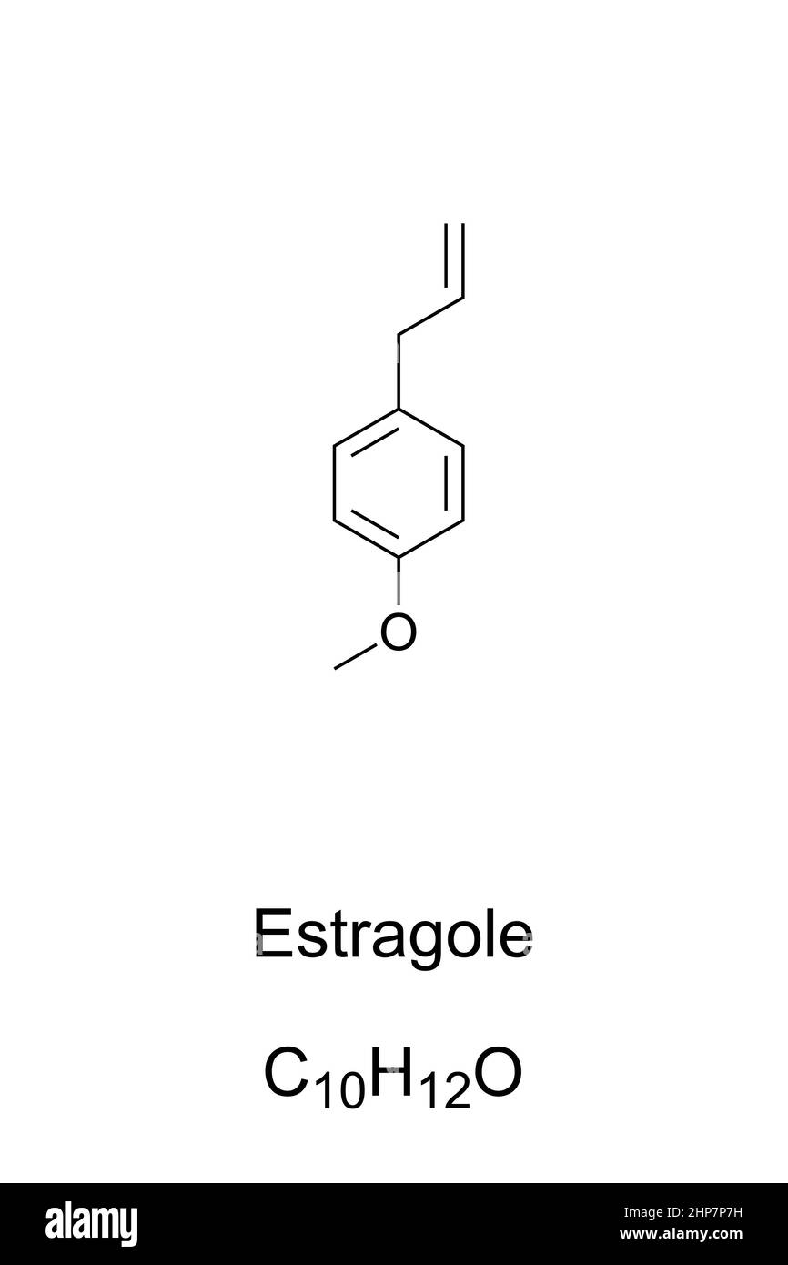 Estragolo, metil chavicolo, formula chimica e struttura scheletrica Illustrazione Vettoriale