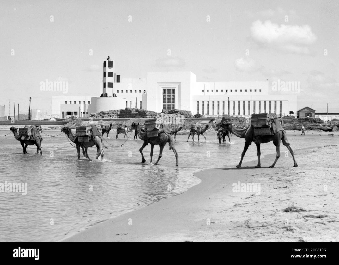 Medio Oriente Storia: La Casa del potere di lettura con cammelli che forgono il fiume Località: Tel Aviv Israele ca. Tra il 1934 e il 1939 Foto Stock
