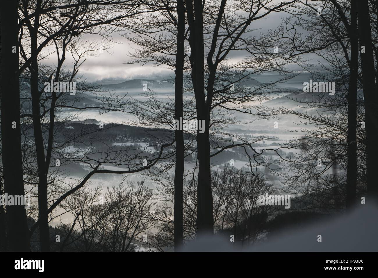 Valle in nebbia vista alberi montagna neve inverno Foto Stock