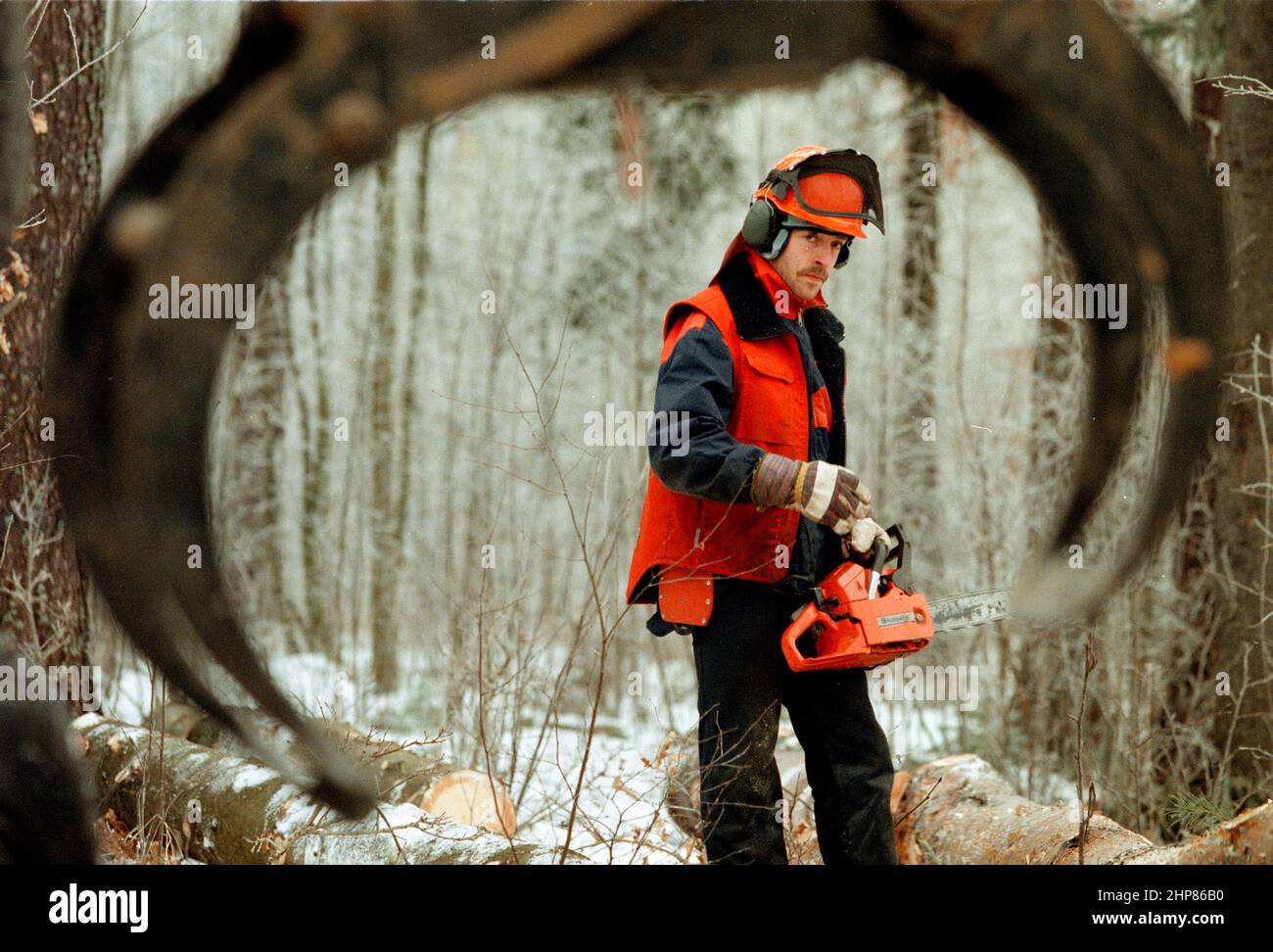 Lavoratori forestali nella presa del freddo. Foto Stock