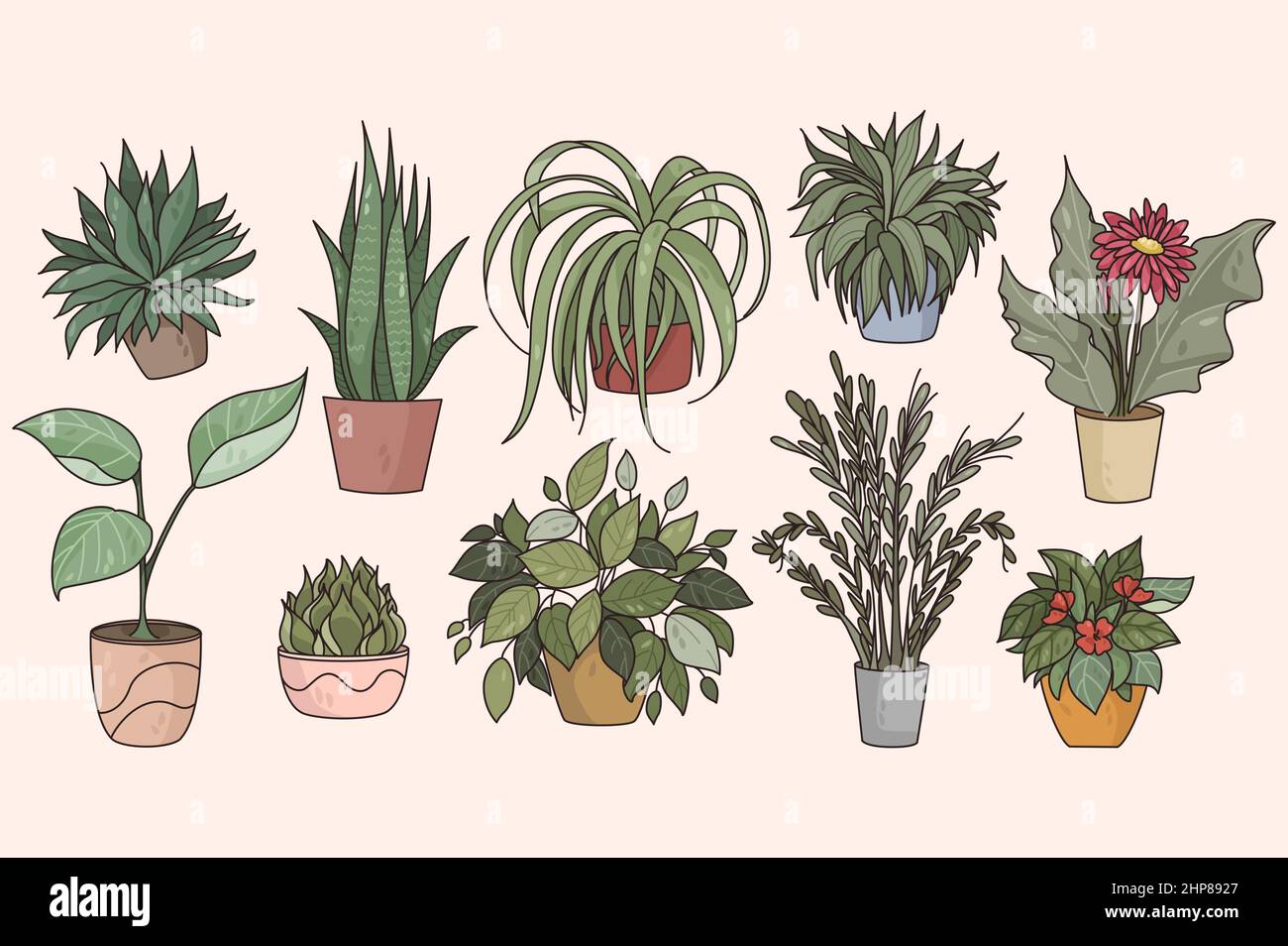 Set di varie piante interne in vaso Illustrazione Vettoriale