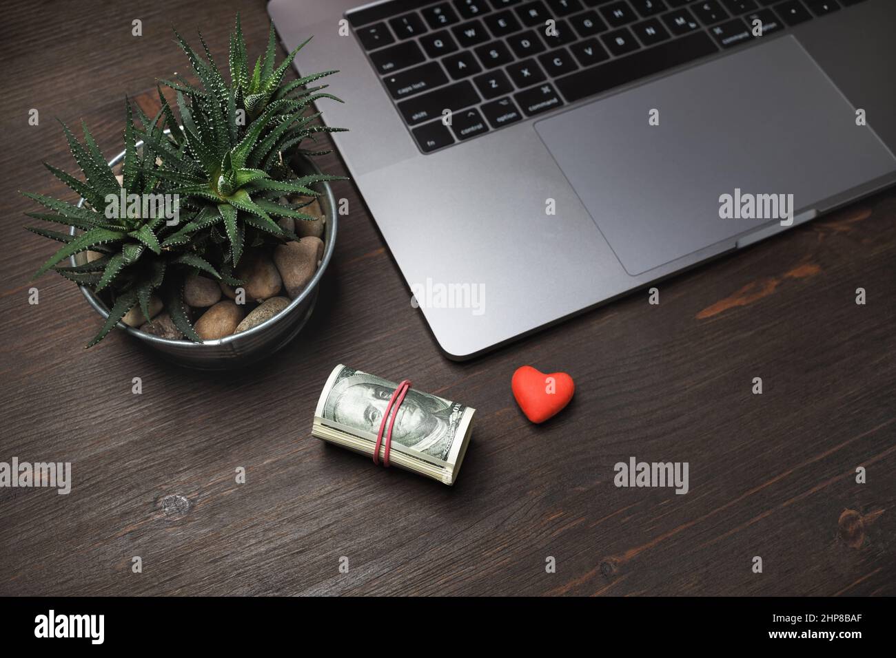 Concetto di shopping in linea del Internet. Computer portatile, denaro, gomma a forma di cuore e pianta succulenta su sfondo tavolo in legno. Foto Stock
