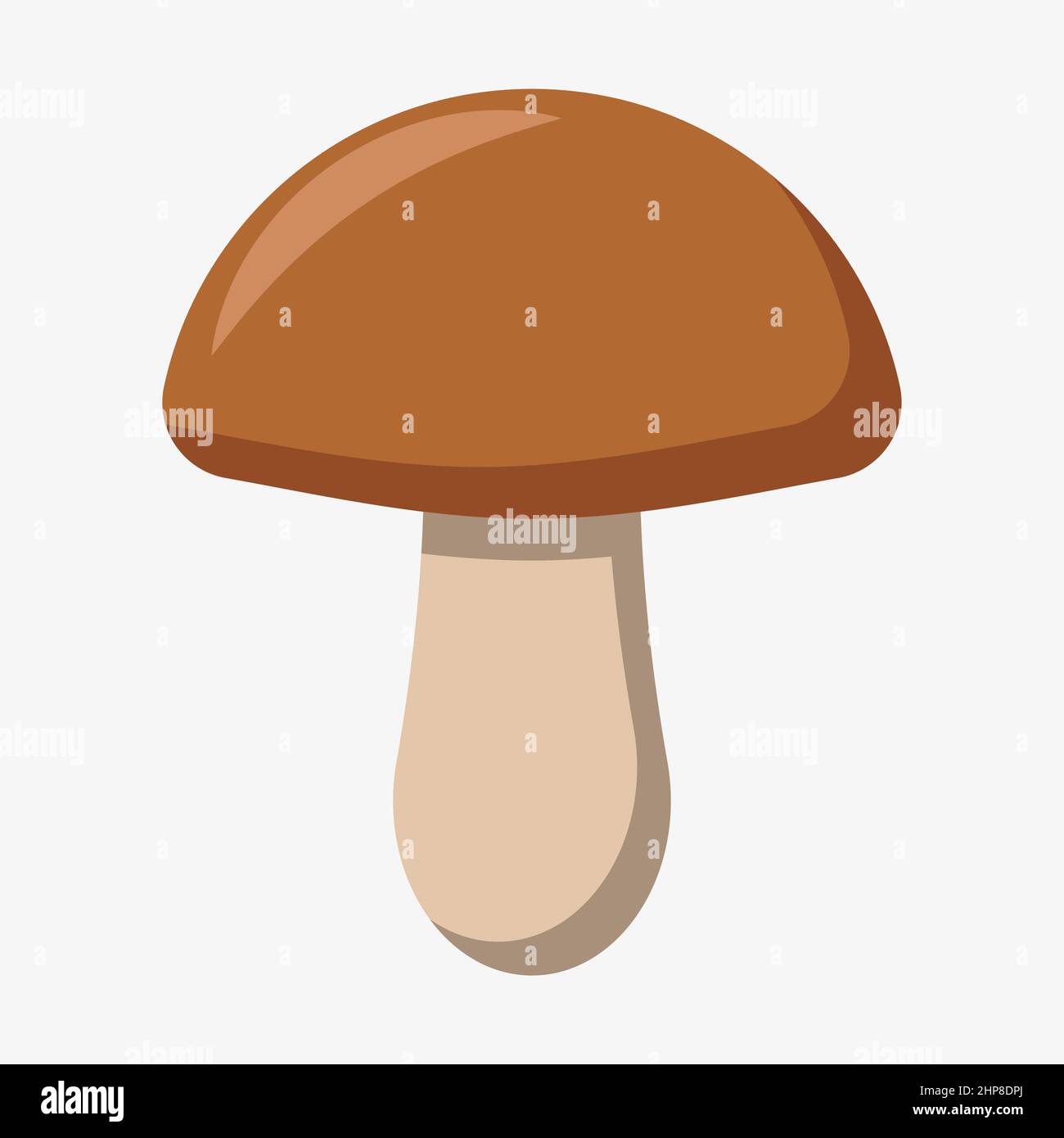 Illustrazione vettoriale di funghi commestibili isolata su sfondo bianco. Illustrazione Vettoriale