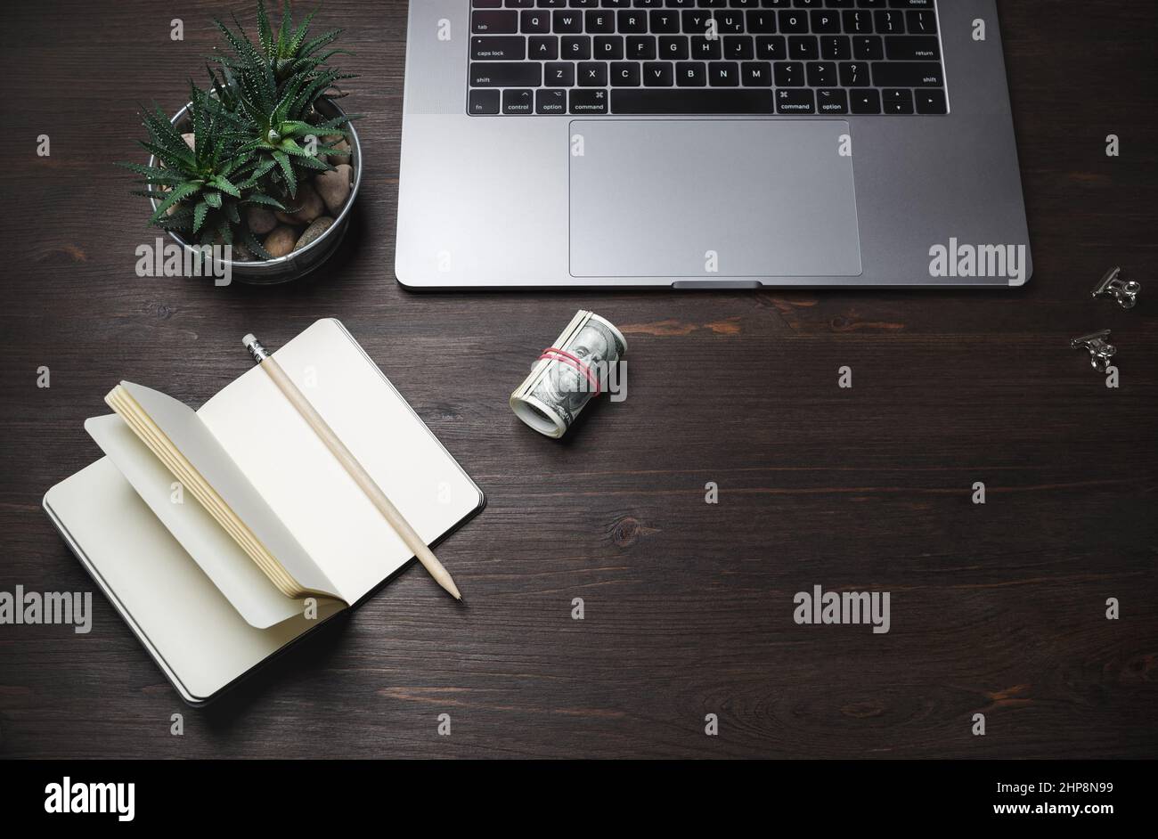 Concetto di lavoro online. Computer portatile, notebook, dollari, matita e succulenta pianta su sfondo di legno. Foto Stock