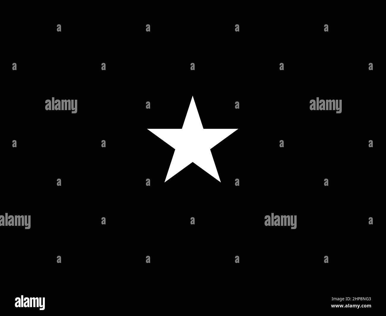 United States Space Force One Star General Flag Illustrazione Vettoriale