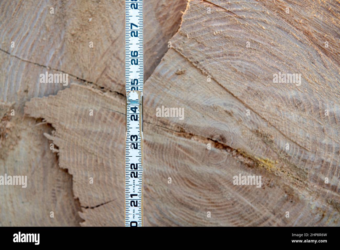 Scalatura bastone di fronte al legno tagliato log Foto Stock