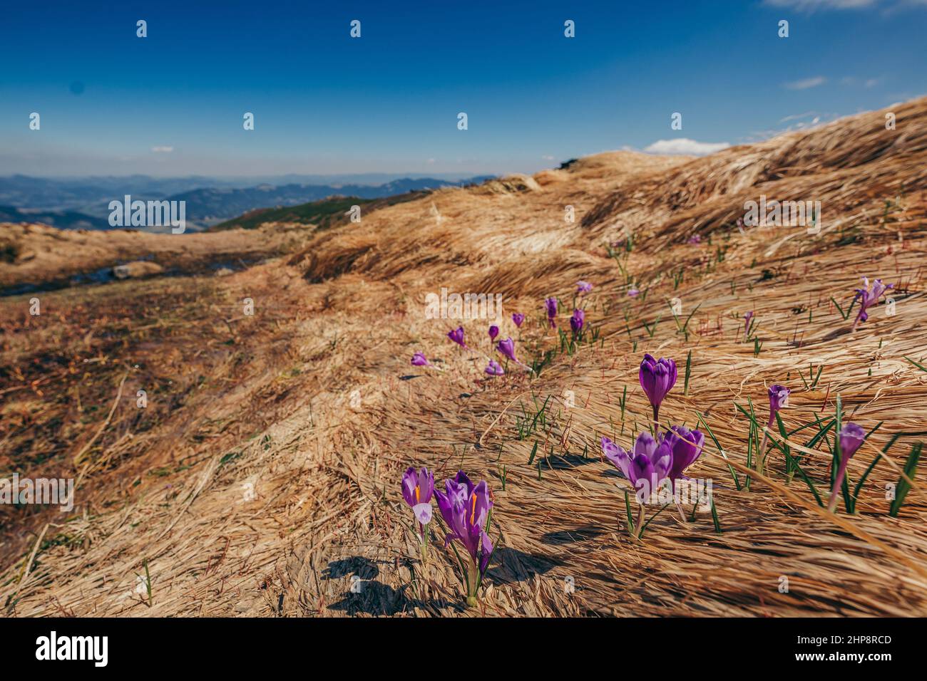 Un aquilone colorato sulla cima di una montagna Foto Stock