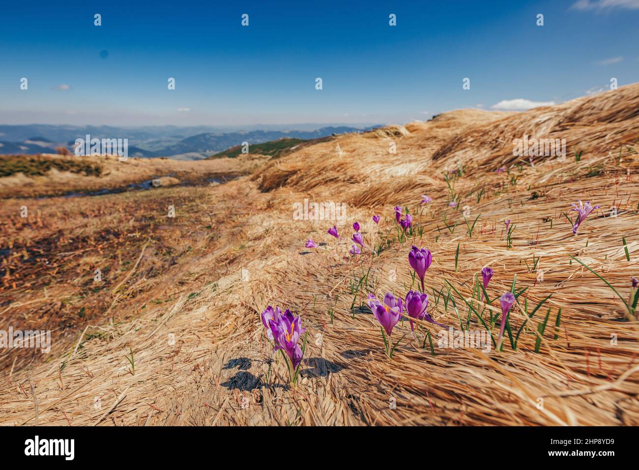 Un aquilone colorato sulla cima di una montagna Foto Stock