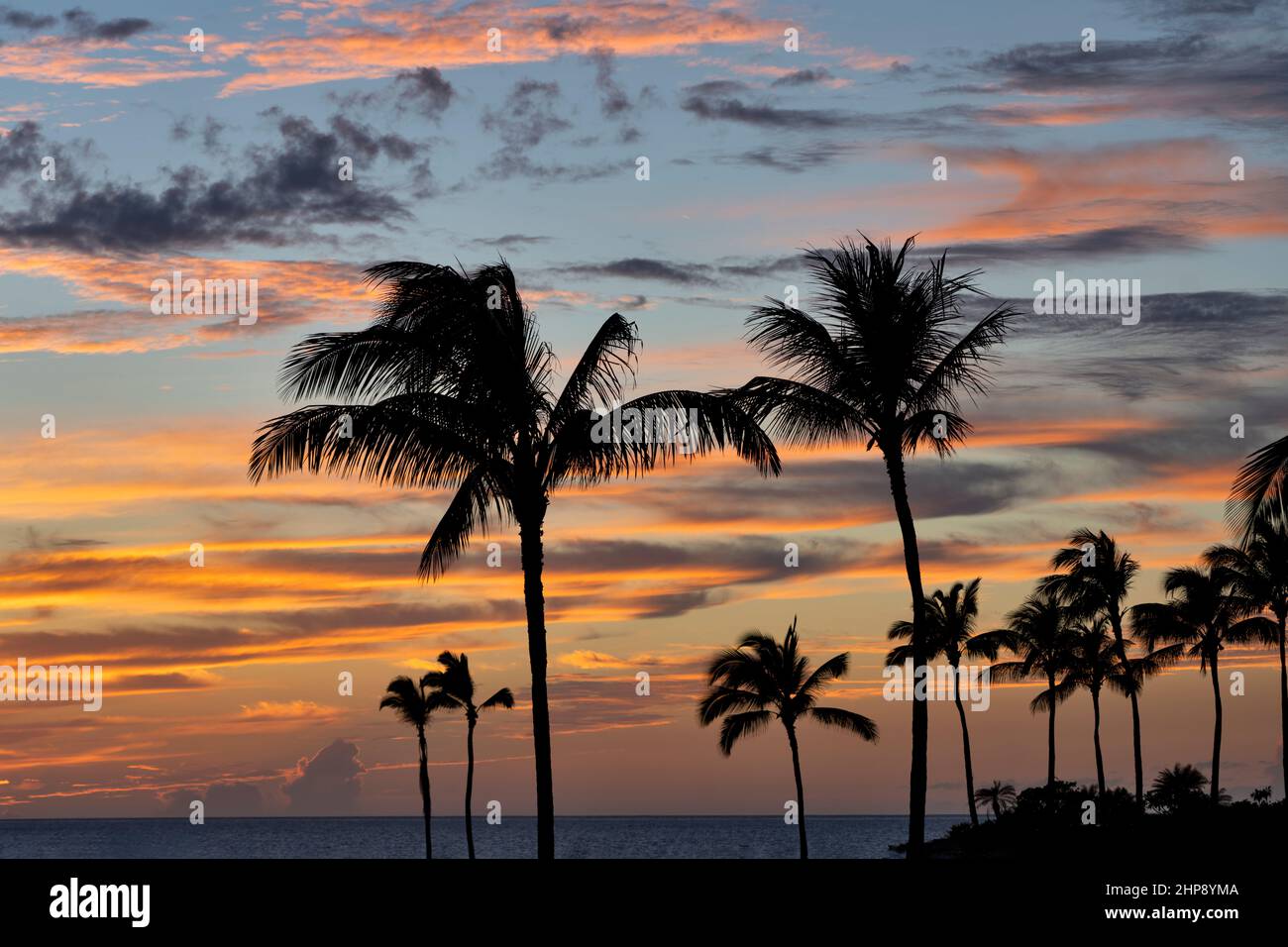 Nuvole al tramonto e palme. Hawaii, la Big Island Foto Stock