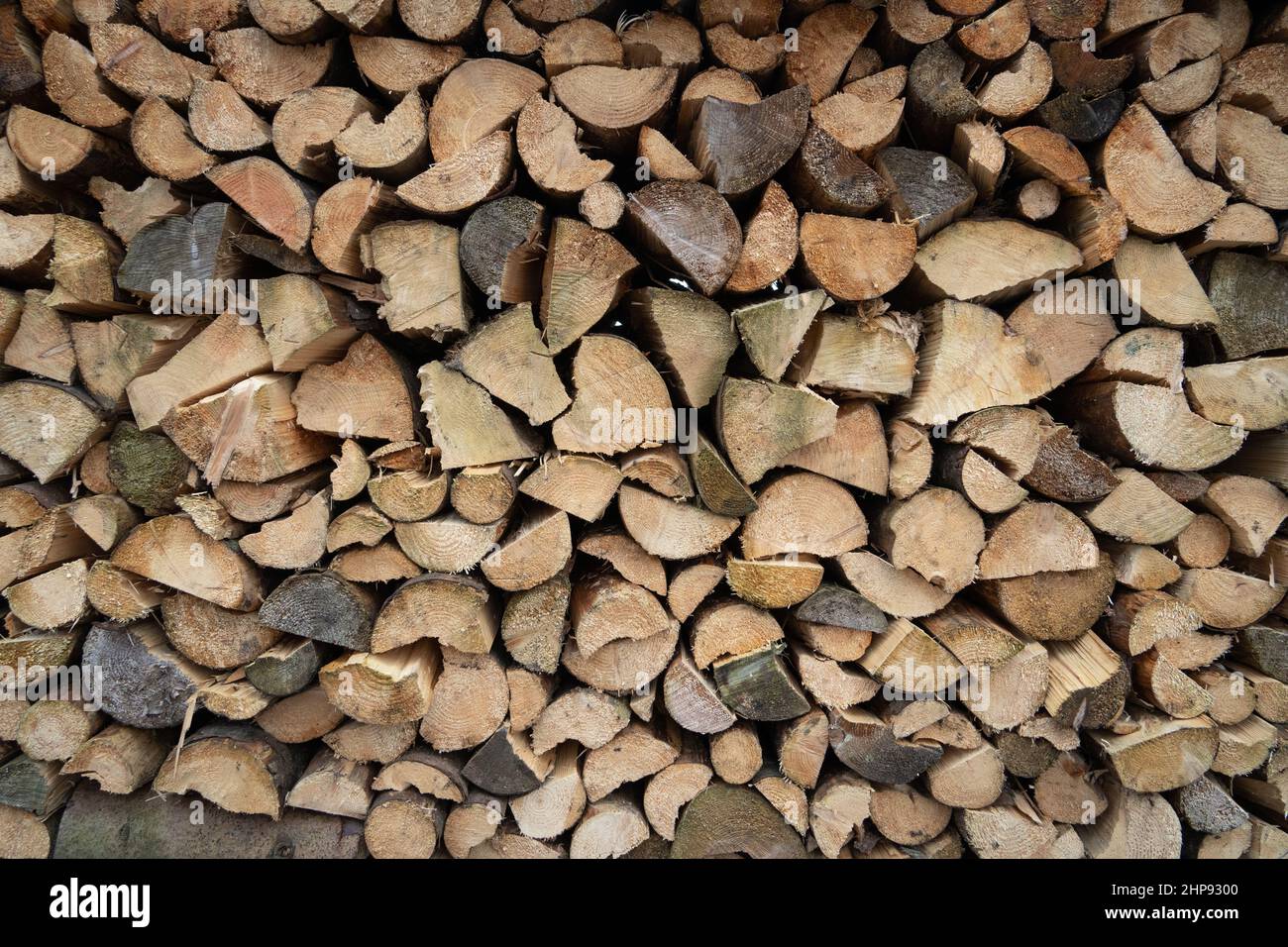 Legno tagliato, immagazzinato all'aperto in un palo di ceppo o palo di legno. Foto Stock