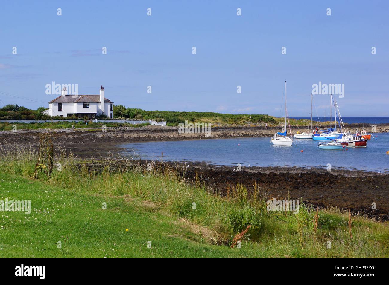 Barche ormeggiate nella baia di Groomsport, Bangor, in County Down, Irlanda del Nord (Regno Unito) Foto Stock