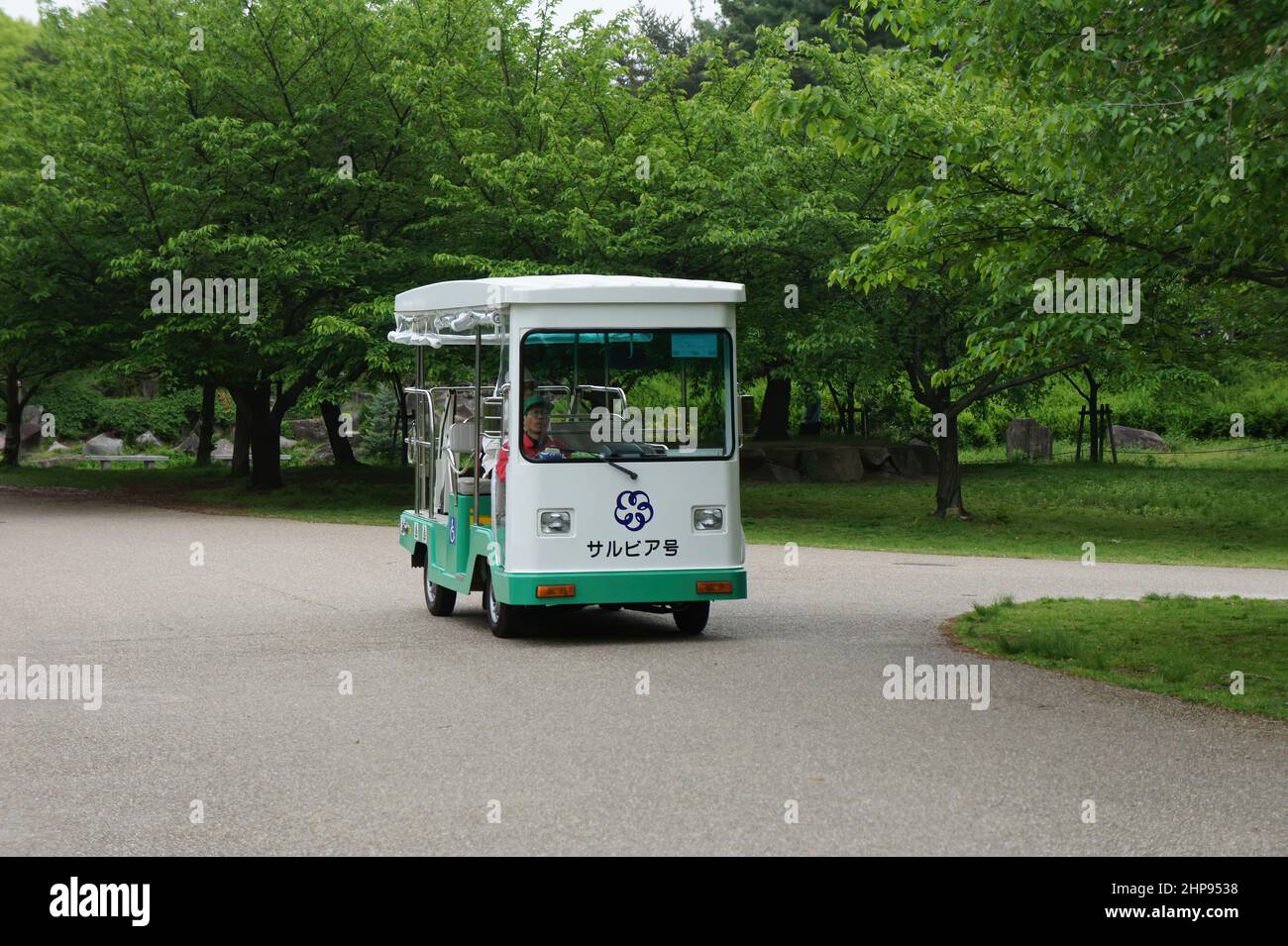Osaka, MAGGIO 3 2011 - Vista in alto di un Golf Cart nel Flower Expo Memorial Park Foto Stock