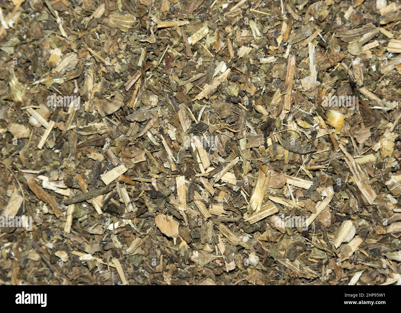 Tè di Silybum marianum Foto Stock