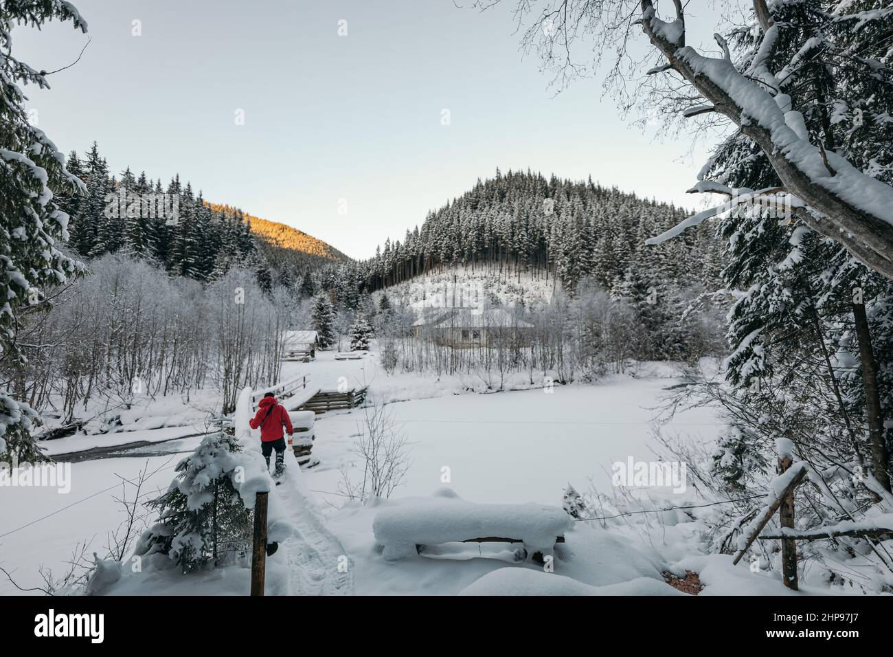 Un gruppo di persone sci di fondo nella neve Foto Stock