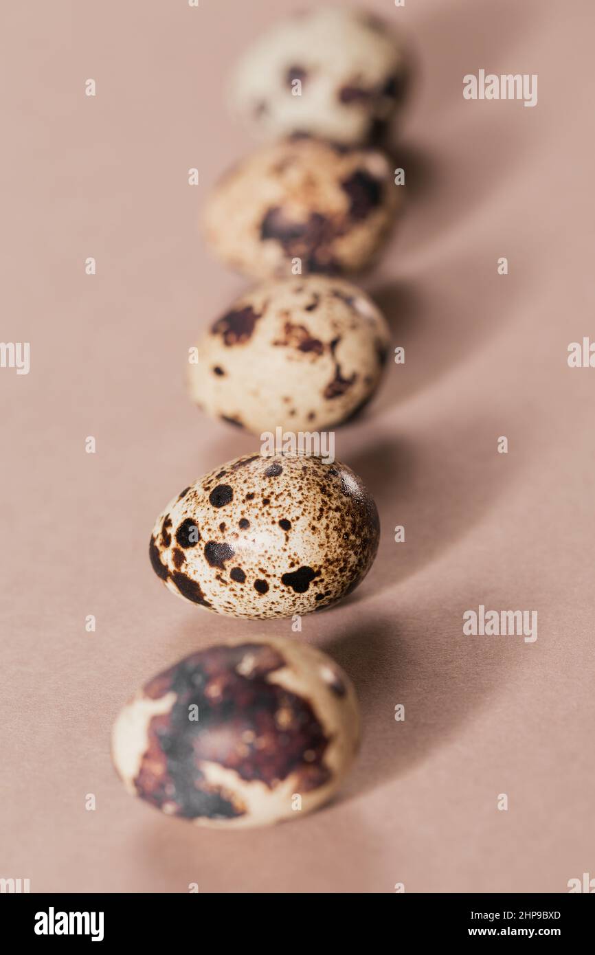 Una linea con ombre dalle uova di quaglia su sfondo beige creativo minimo. Foto Stock