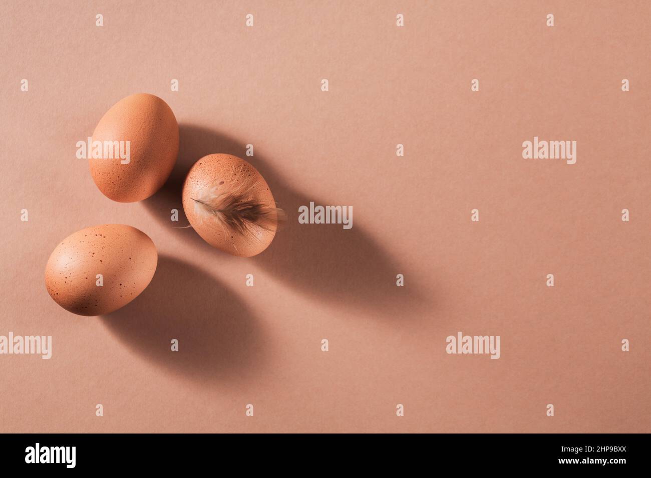 Uova di pollo marroni con piume marroni su sfondo beige creativo minimo Foto Stock