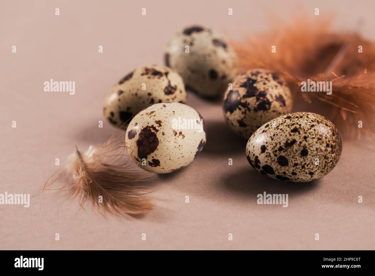 Uova di pollo marroni su sfondo beige creativo minimo. Foto Stock