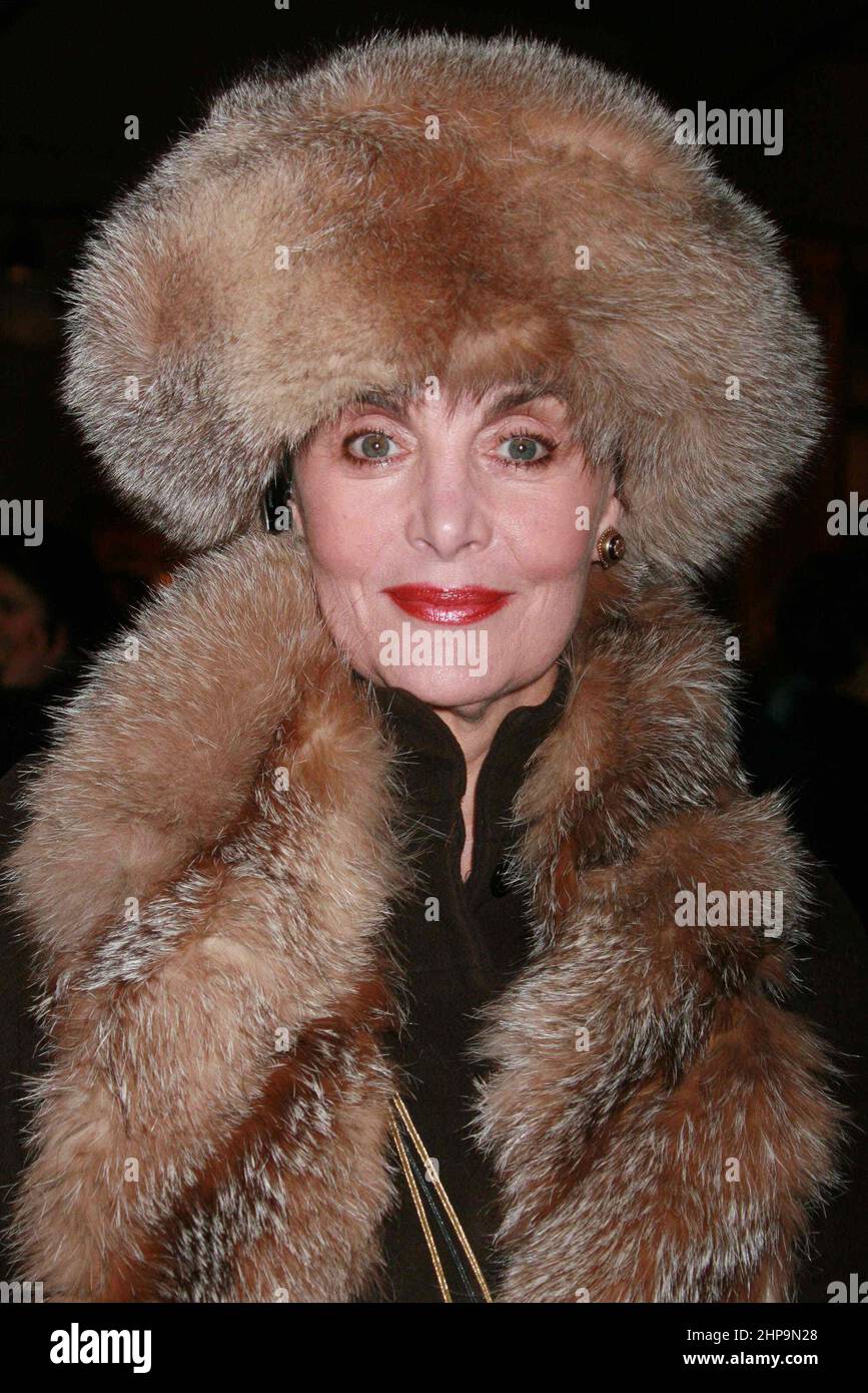 Linda Dano partecipa alla Mercedes-Benz Fashion Week New York Fall 2008 Collection a Bryant Park a New York City il 5 febbraio 2008. Photo Credit: Henry McGee/MediaPunch Foto Stock