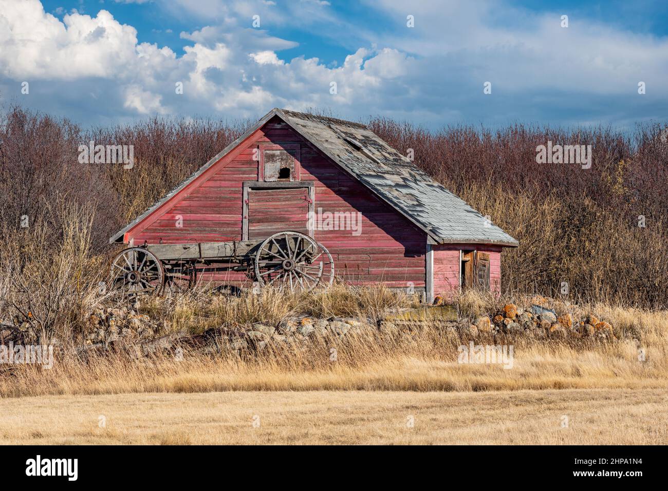 Un antico carro trainato da cavalli di fronte a un antico granaio sulle praterie Saskatchewan Foto Stock