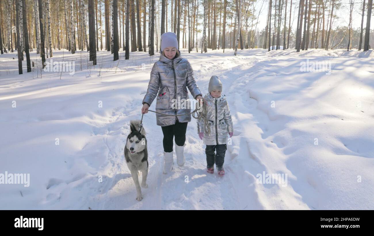 Donna e bambino piccolo che cammina nella foresta invernale con di cane da Husky. Giovane madre con figlia in parco con cane huskies. Amico animale domestico e huma Foto Stock