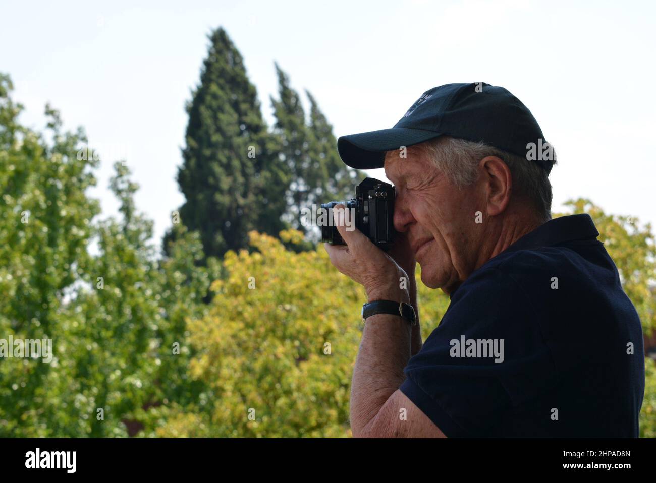 Fotografo maschile anziano che utilizza una telecamera a pellicola Reflex a obiettivo singolo a livello oculare. Maglietta blu con cappuccio blu su un morbido sfondo di alberi verdi. Foto Stock