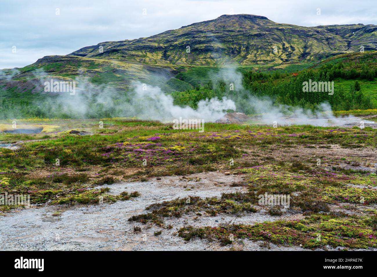 Vista della fumarola fumante nel campo della zona geotermica di Haukadalur nell'Islanda sudoccidentale. Foto Stock