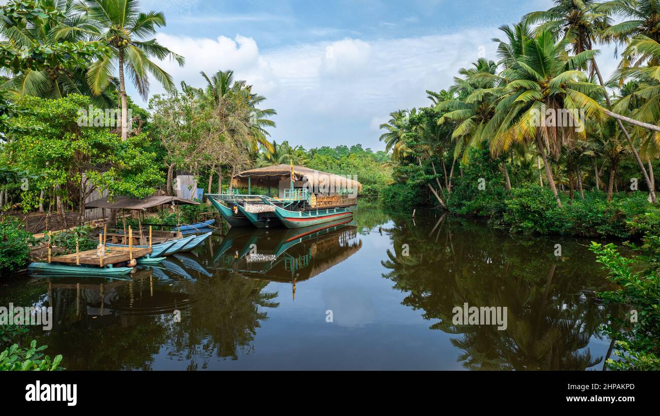 safari sul fiume Foto Stock